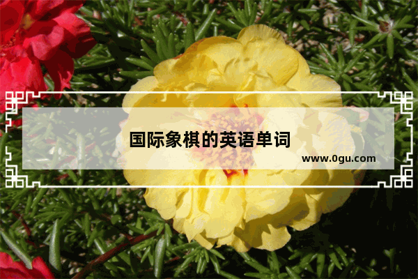 国际象棋的英语单词
