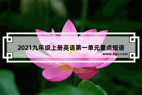 2021九年级上册英语第一单元重点短语