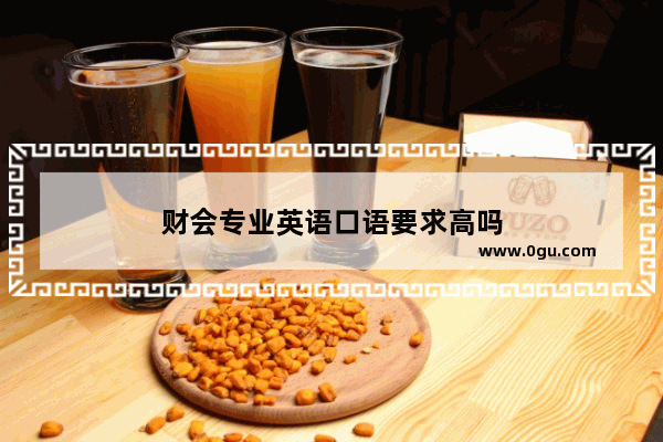财会专业英语口语要求高吗