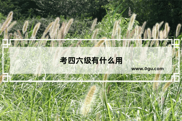 考四六级有什么用