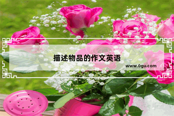描述物品的作文英语