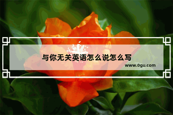 与你无关英语怎么说怎么写