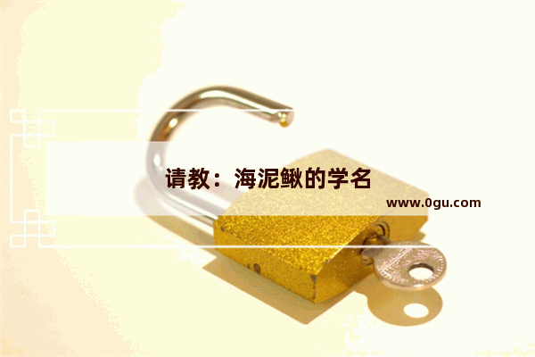 请教：海泥鳅的学名
