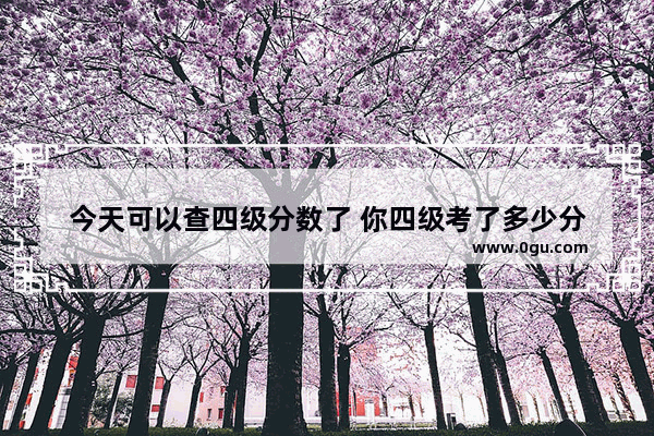 今天可以查四级分数了 你四级考了多少分