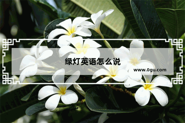 绿灯英语怎么说