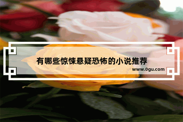 有哪些惊悚悬疑恐怖的小说推荐