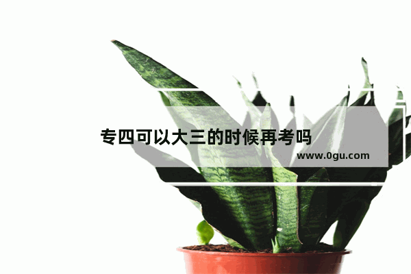 专四可以大三的时候再考吗