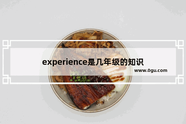 experience是几年级的知识
