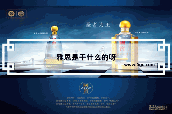 雅思是干什么的呀