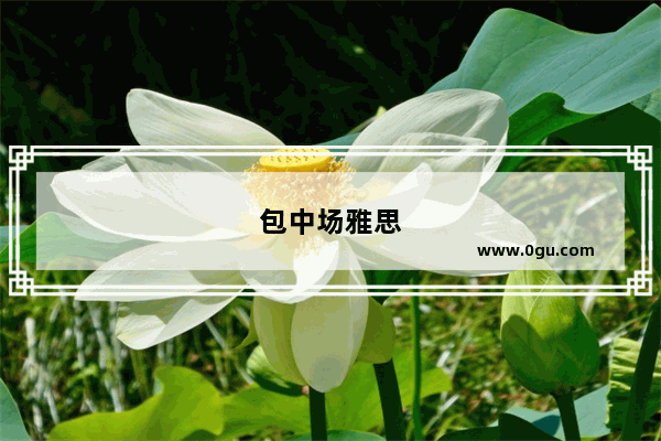 包中场雅思