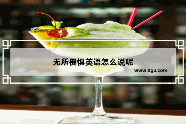 无所畏惧英语怎么说呢