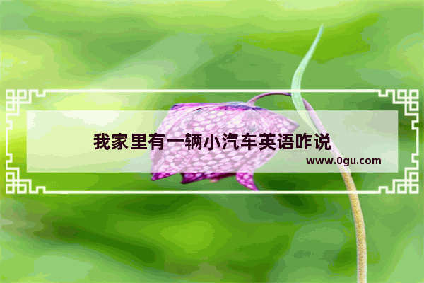我家里有一辆小汽车英语咋说