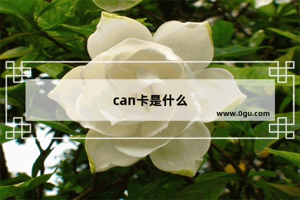 can卡是什么