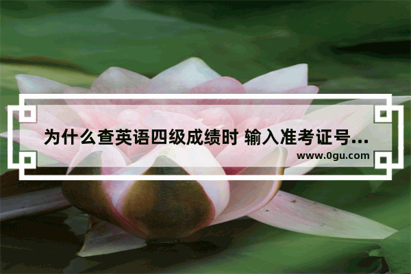 为什么查英语四级成绩时 输入准考证号提示格式不正确？刚出成绩查询已通过 现在查是号格式不正确