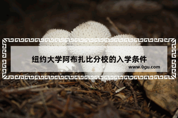 纽约大学阿布扎比分校的入学条件