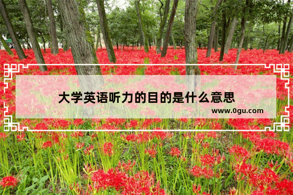 大学英语听力的目的是什么意思