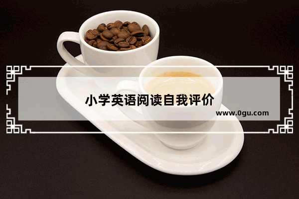 小学英语阅读自我评价
