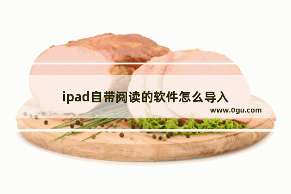 ipad自带阅读的软件怎么导入