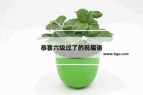 恭喜六级过了的祝福语