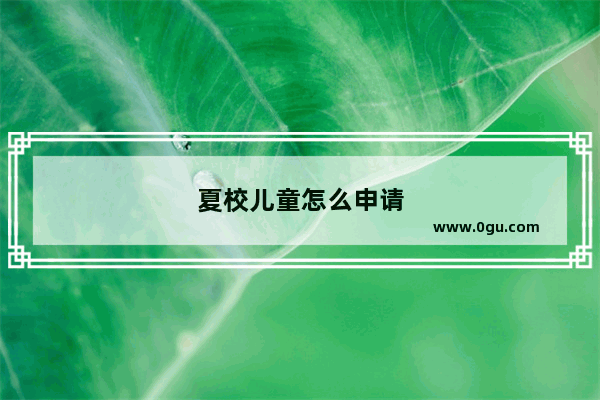 夏校儿童怎么申请
