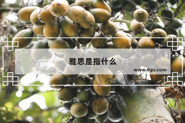 雅思是指什么