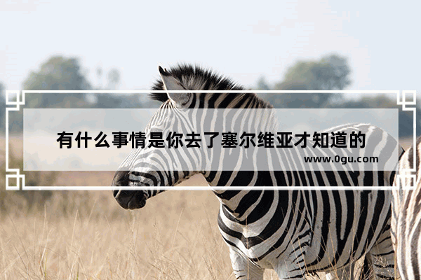 有什么事情是你去了塞尔维亚才知道的