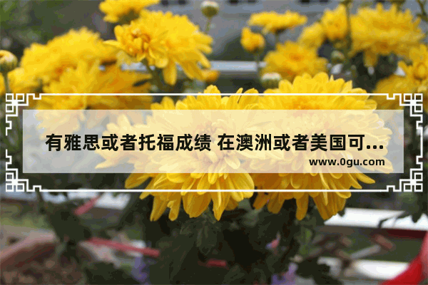 有雅思或者托福成绩 在澳洲或者美国可以找到工作吗