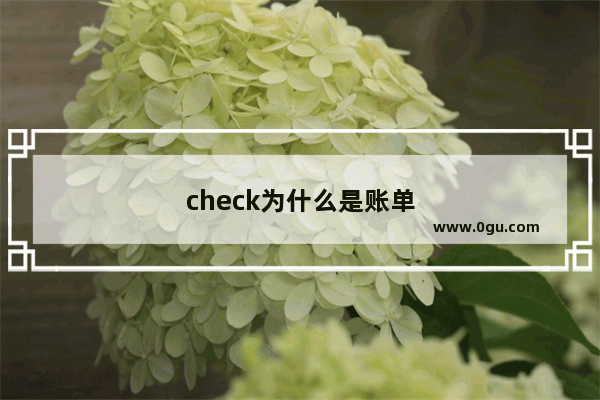 check为什么是账单