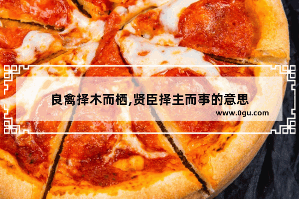 良禽择木而栖,贤臣择主而事的意思