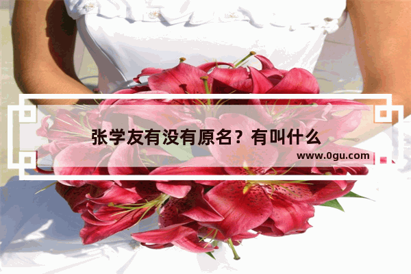 张学友有没有原名？有叫什么