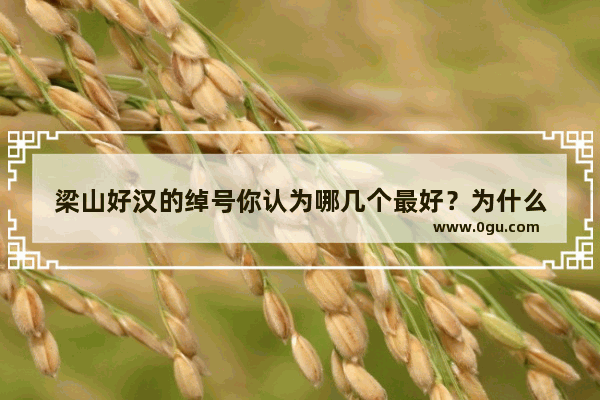 梁山好汉的绰号你认为哪几个最好？为什么