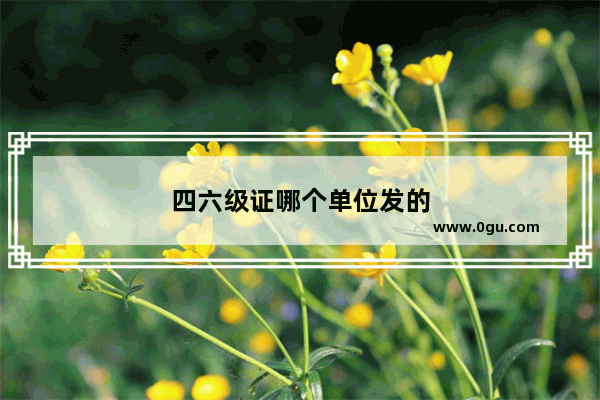 四六级证哪个单位发的