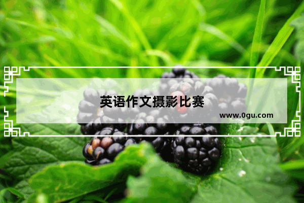 英语作文摄影比赛