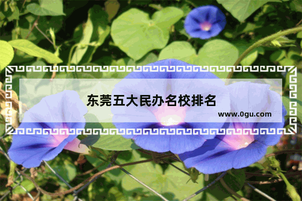东莞五大民办名校排名