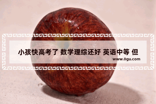 小孩快高考了 数学理综还好 英语中等 但语文超差老拖后腿 现在还有什么补救办法吗