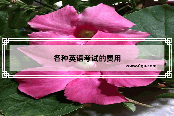 各种英语考试的费用