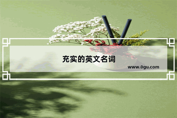 充实的英文名词
