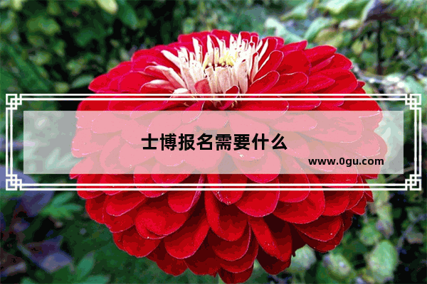 士博报名需要什么