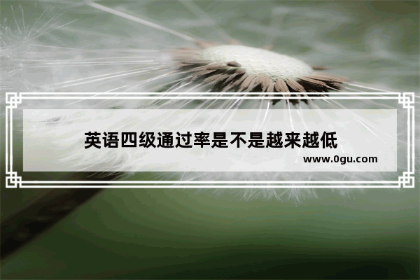 英语四级通过率是不是越来越低