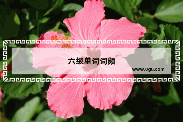 六级单词词频
