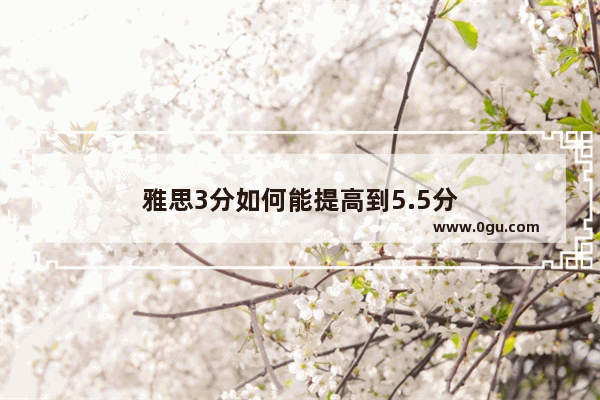 雅思3分如何能提高到5.5分