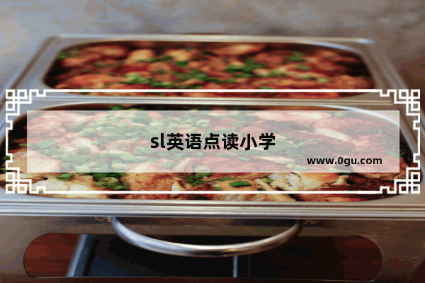 sl英语点读小学
