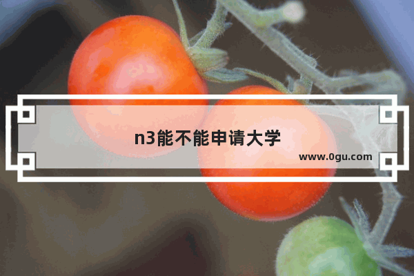 n3能不能申请大学