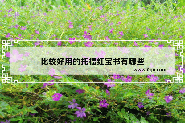 比较好用的托福红宝书有哪些