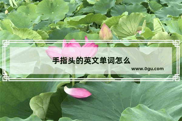 手指头的英文单词怎么