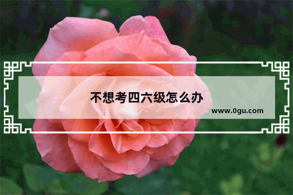 不想考四六级怎么办