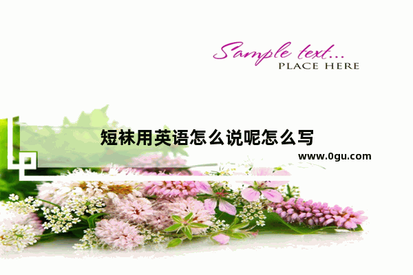短袜用英语怎么说呢怎么写