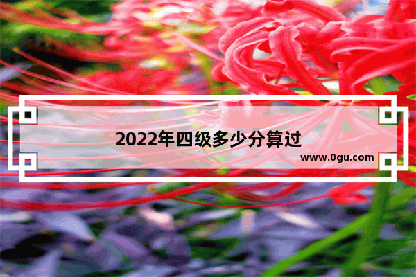 2022年四级多少分算过