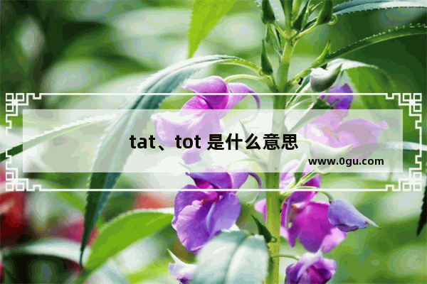 tat、tot 是什么意思