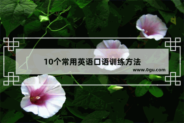 10个常用英语口语训练方法